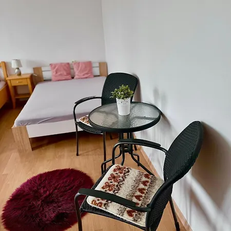 Guest house Rybarska Restaurace A U Horaku