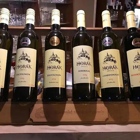 Konukevi Rybarska Restaurace A U Horaku 3*